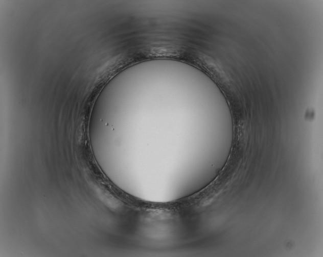 X0000092240741200709281124