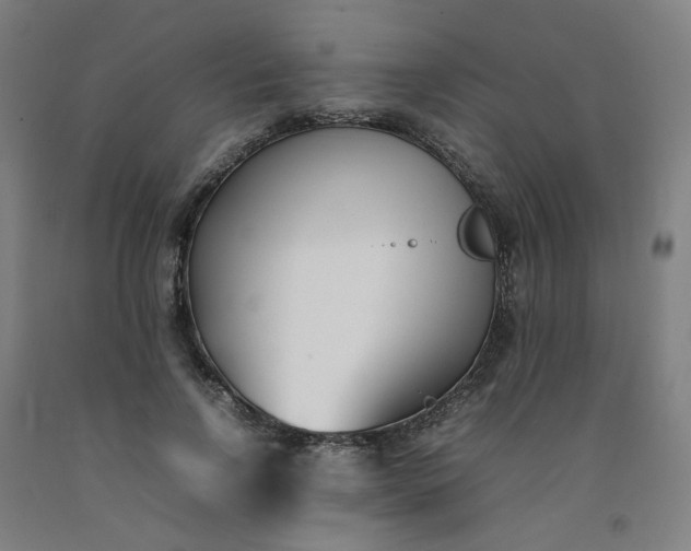 X0000092240742200709281124