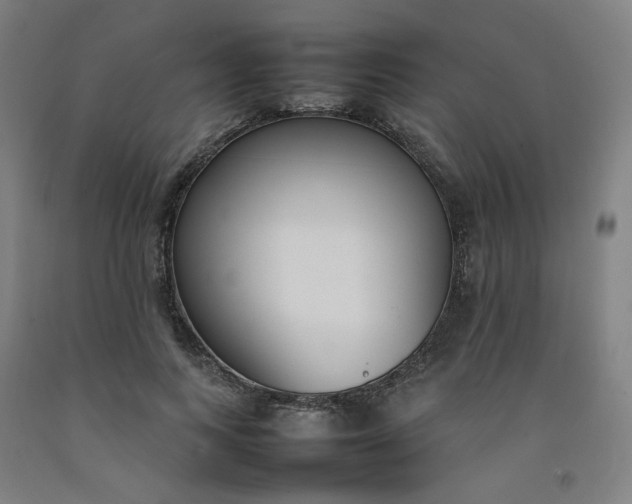 X0000092240743200709281124