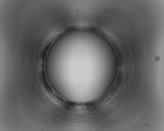 X0000092240744200709281124