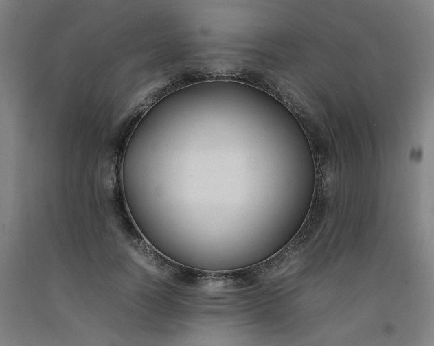 X0000092240746200709281124