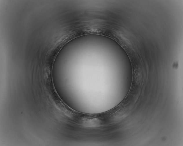 X0000092240747200709281124