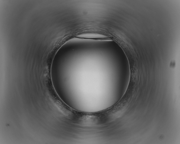 X0000092240748200709281124