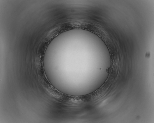 X0000092240749200709281124