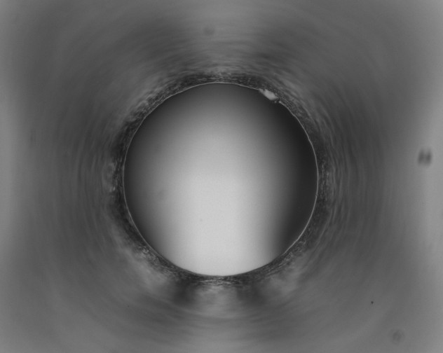 X0000092240750200709281124