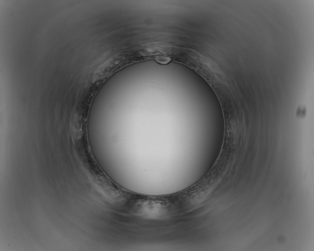 X0000092240751200709281124