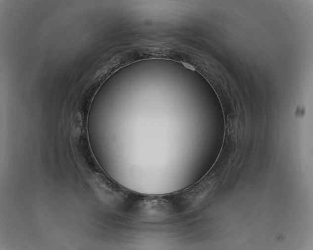 X0000092240752200709281124