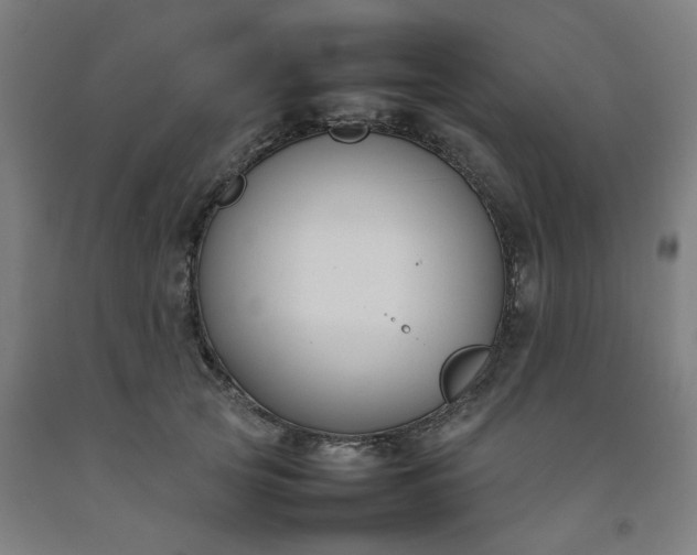 X0000092240753200709281124