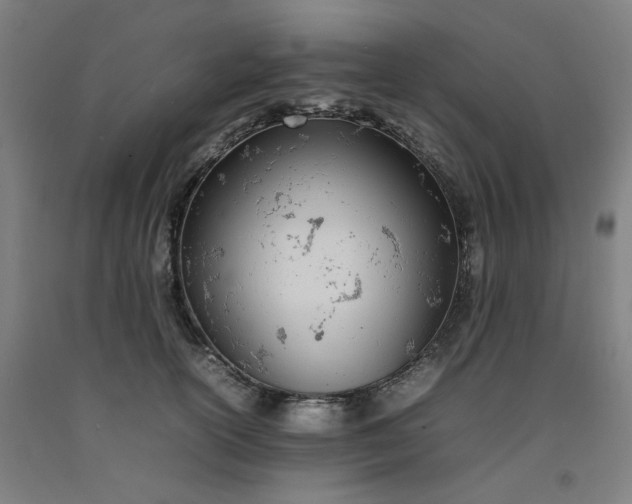 X0000092240754200709281124