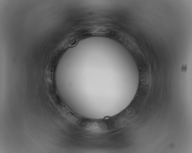 X0000092240755200709281124