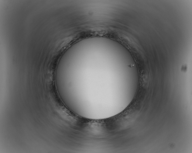 X0000092240756200709281124