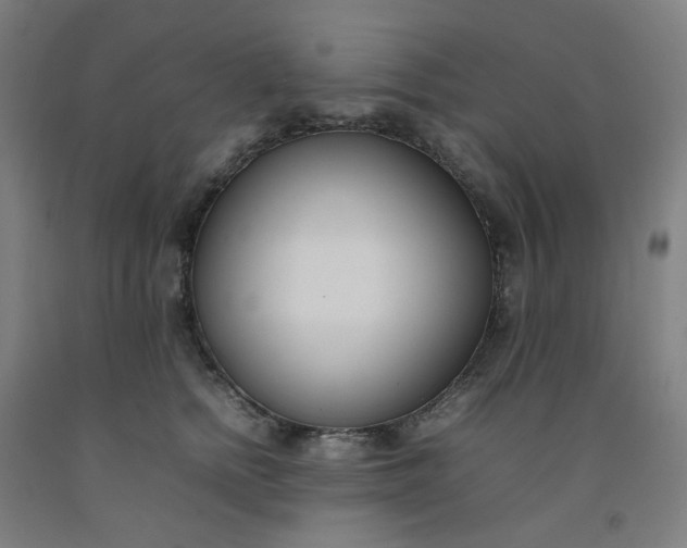 X0000092240758200709281124