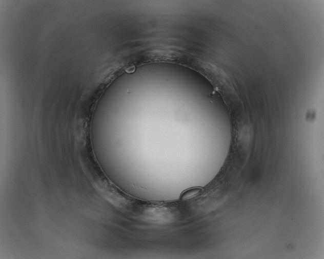 X0000092240759200709281124