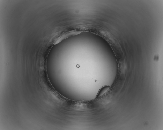 X0000092240760200709281124