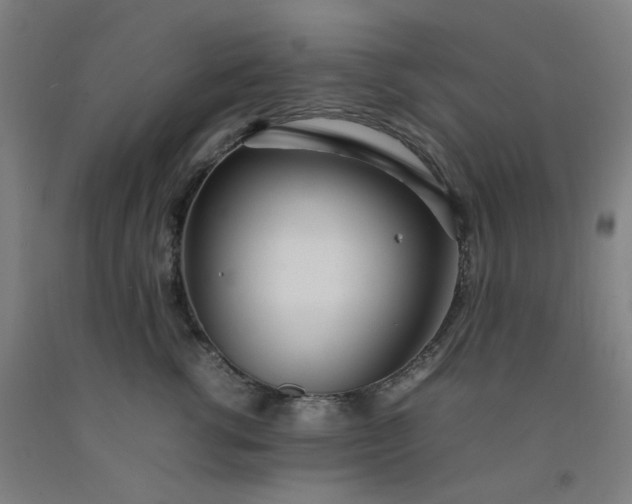 X0000092240762200709281124