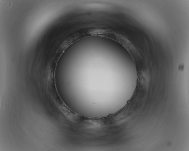 X0000092240763200709281124