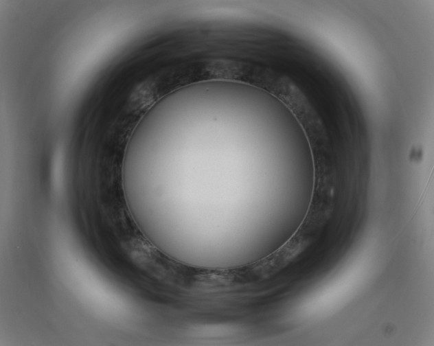 X0000092240765200709281124