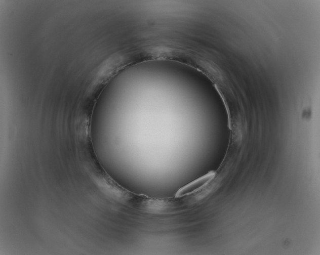 X0000092240766200709281124