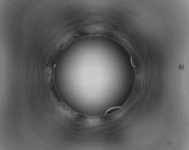 X0000092240767200709281124