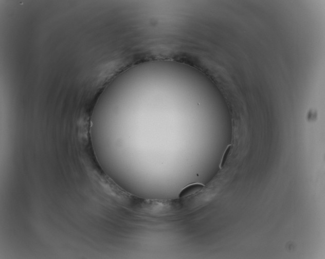 X0000092240768200709281124