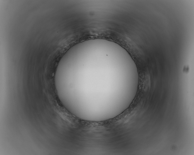 X0000092240770200709281123