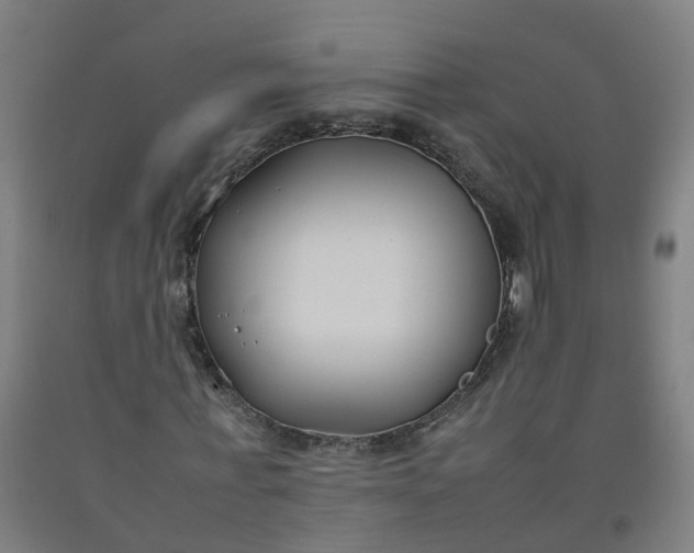 X0000092240771200709281123