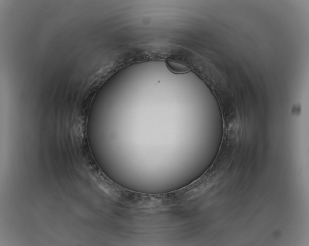 X0000092240772200709281123