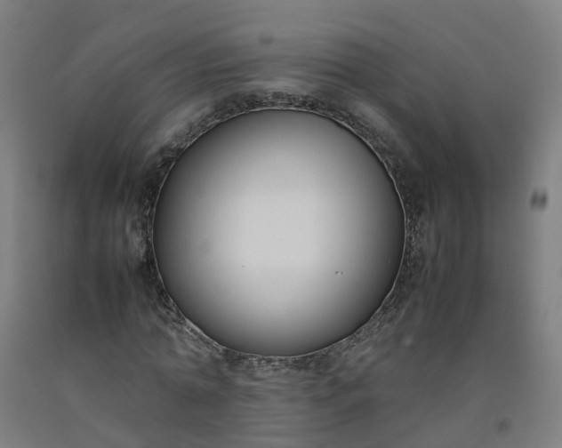 X0000092240774200709281123