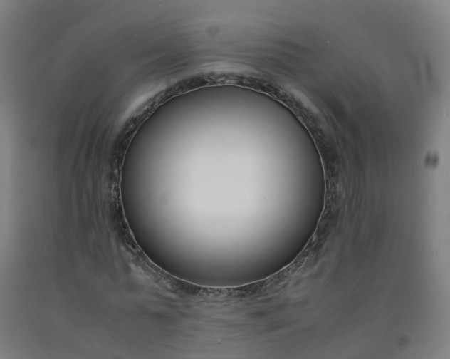 X0000092240775200709281123