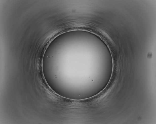 X0000092240777200709281123