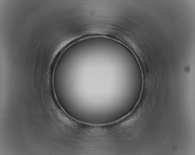 X0000092240779200709281123