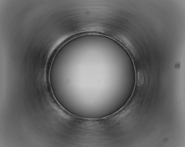 X0000092240780200709281123