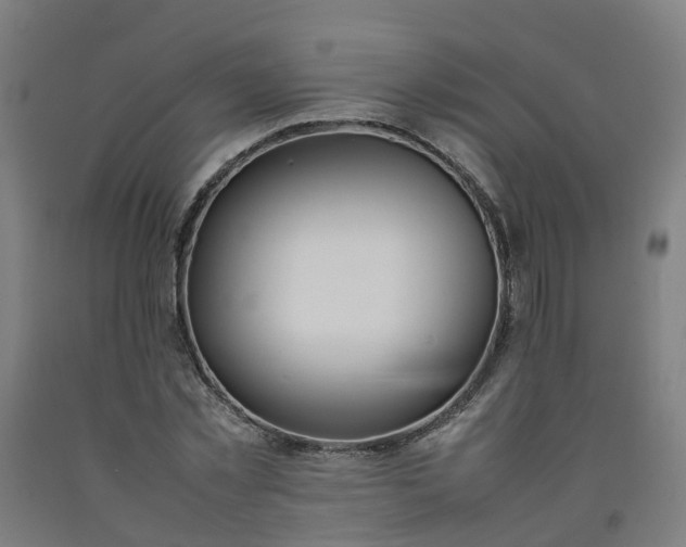 X0000092240781200709281123