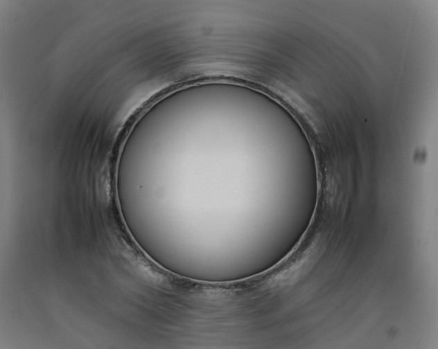 X0000092240782200709281123