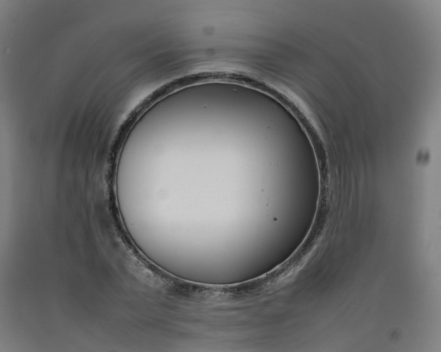 X0000092240783200709281123