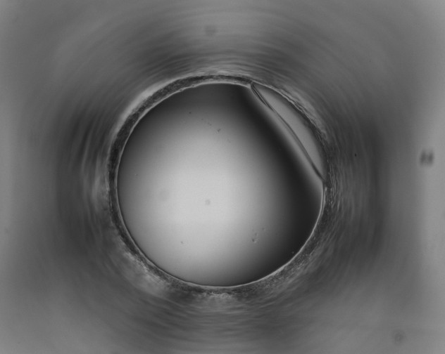 X0000092240784200709281123