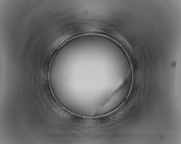 X0000092240785200709281123