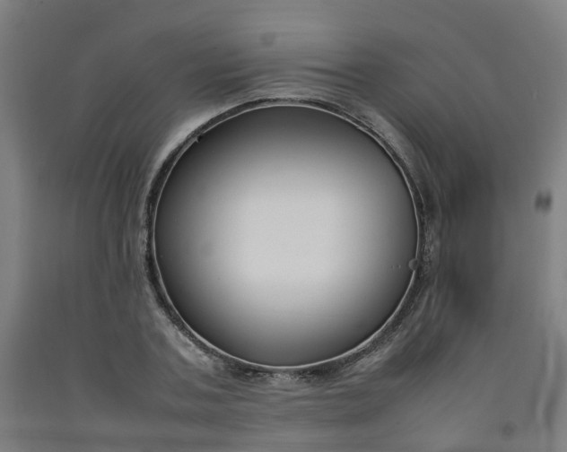 X0000092240787200709281123