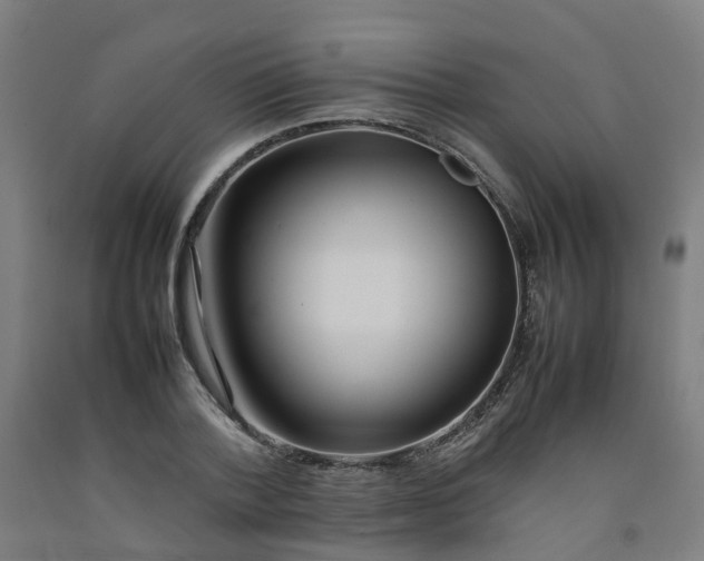 X0000092240788200709281123