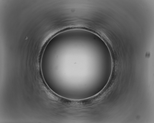 X0000092240789200709281123