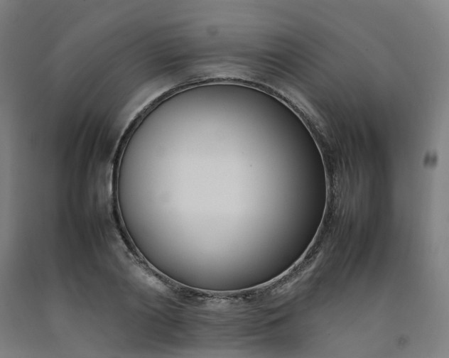 X0000092240790200709281123