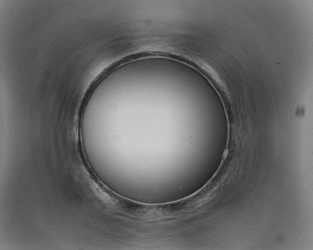 X0000092240791200709281123