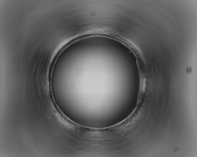 X0000092240792200709281123