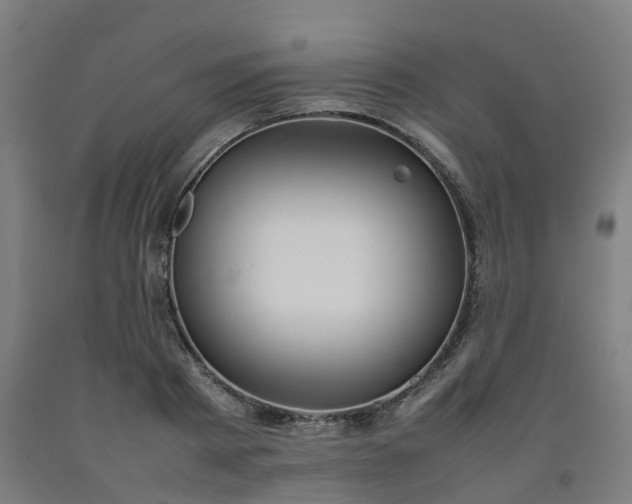 X0000092240793200709281123