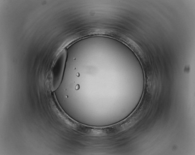 X0000092240794200709281123