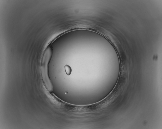 X0000092240795200709281123