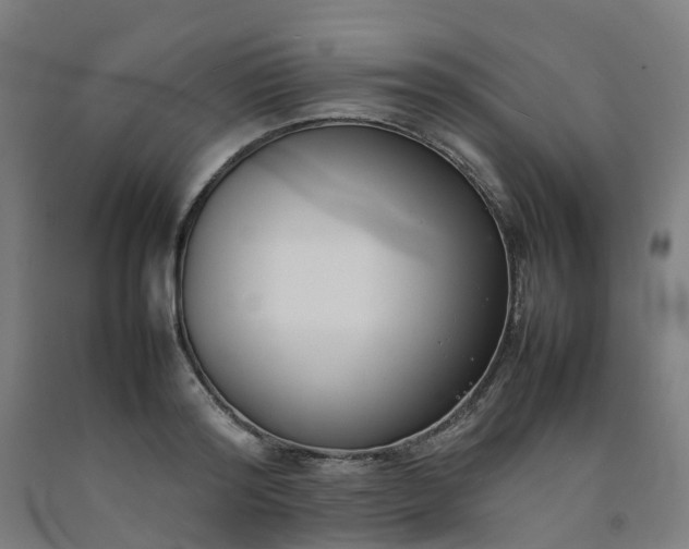 X0000092240796200709281123