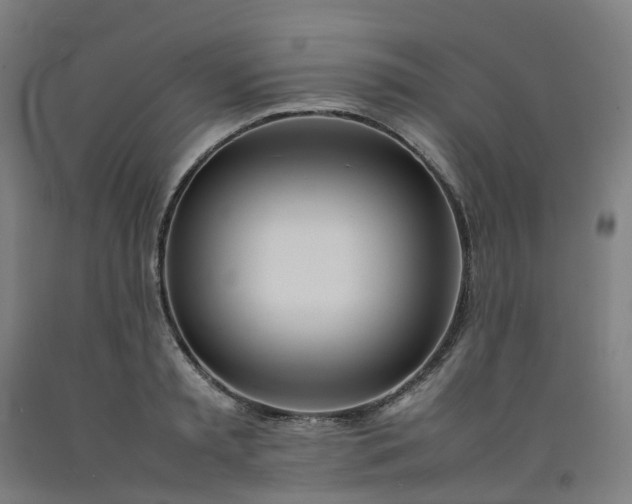 X0000092240797200709281123