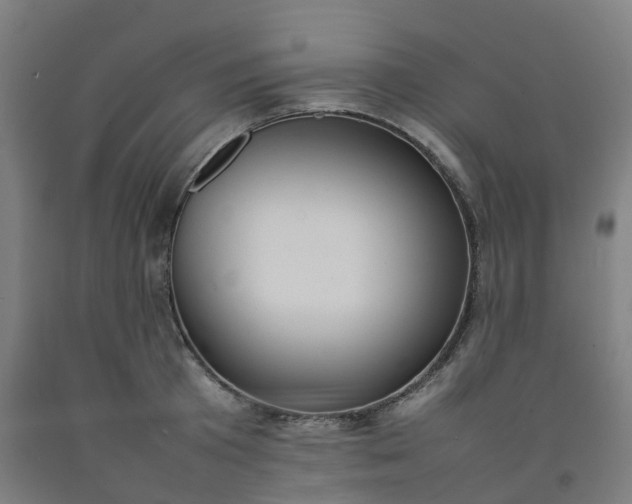 X0000092240801200709281123