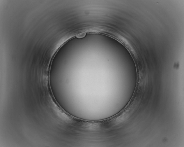 X0000092240802200709281123